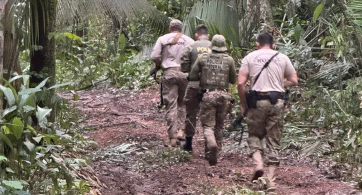 PF, Funai e Ibama realizam ação conjunta contra crimes ambientais na Terra Indígena Igarapé Ribeirão