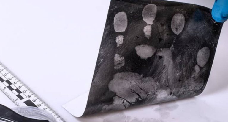 Polícia Civil identifica ossada com técnica avançada em Porto Velho