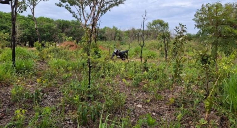 Polícia Civil recupera moto furtada e prende suspeito em flagrante em RO