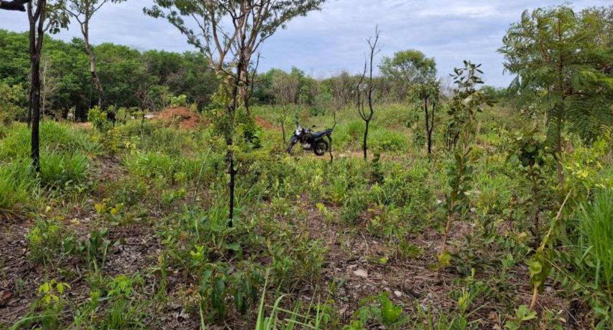 Polícia Civil recupera moto furtada e prende suspeito em flagrante em RO