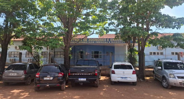 Porto Velho reduz casos de dengue em mais de 50% com ações integradas