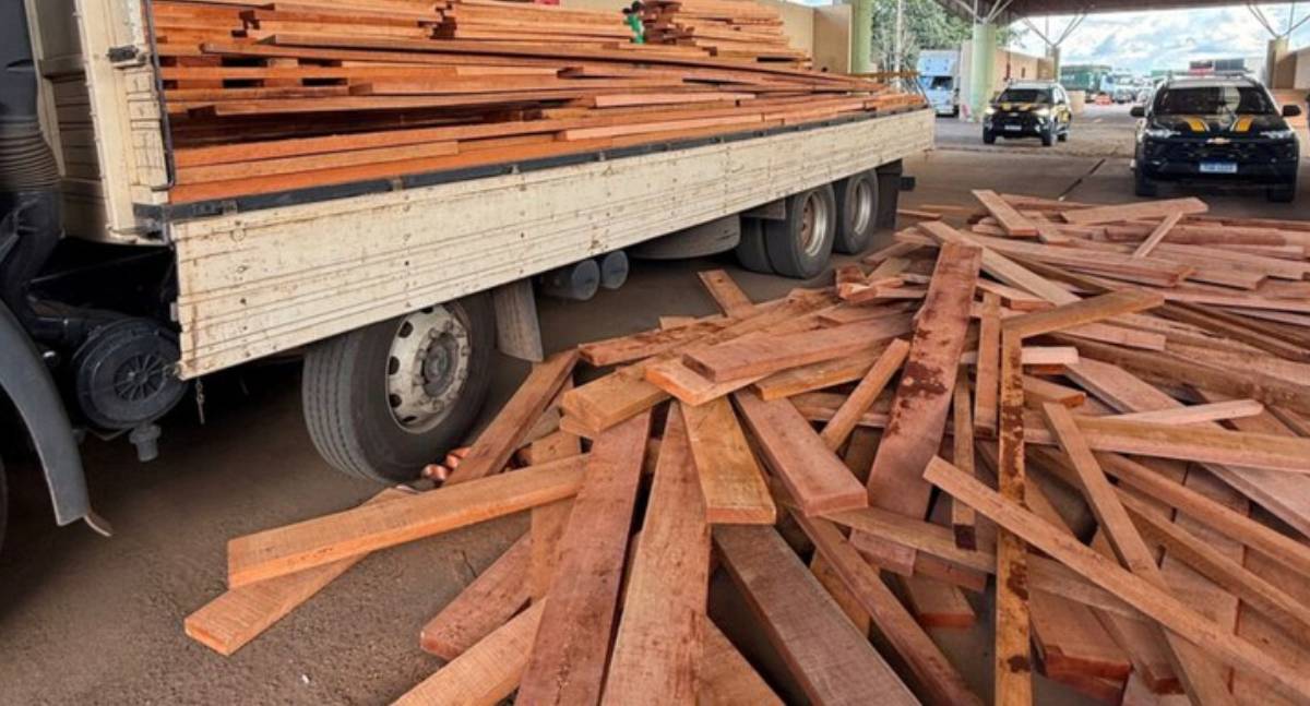 PRF em Rondônia apreende cerca de 11 metros de madeira transportada sem licença válida