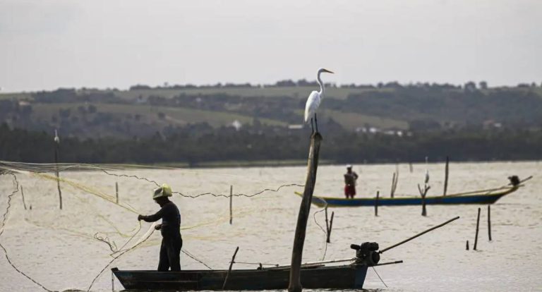 Seguro-defeso: MP transfere gestão do benefício para o MTE