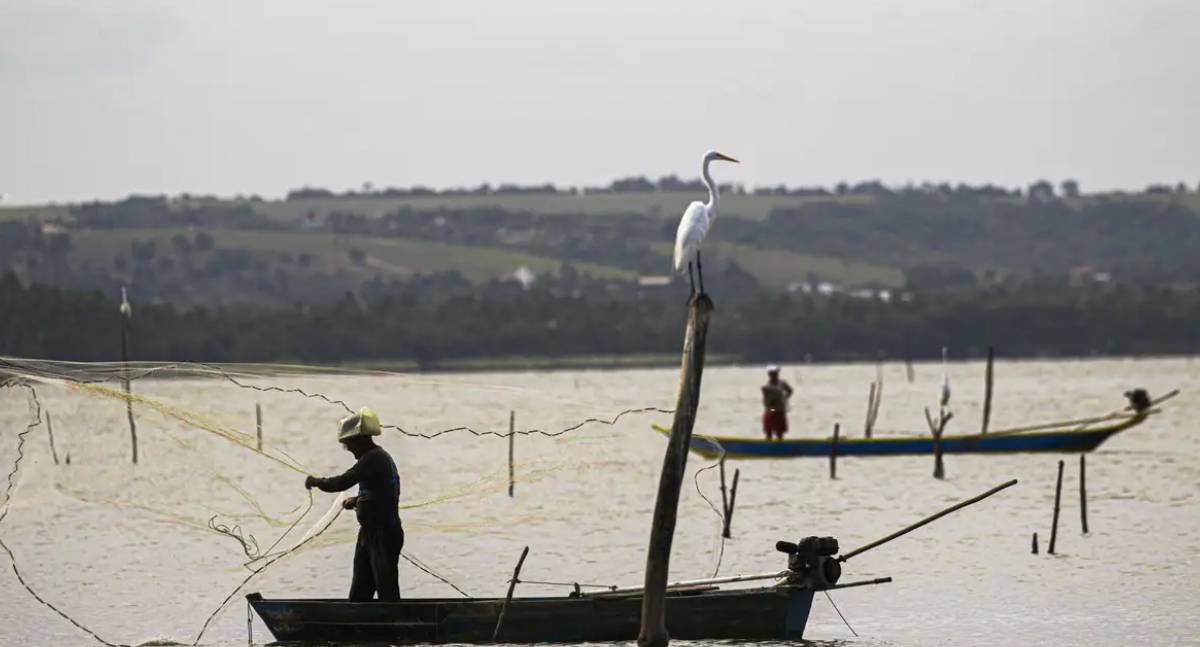 Seguro-defeso: MP transfere gestão do benefício para o MTE