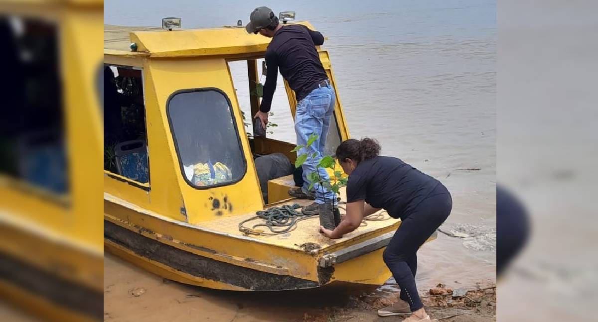 Sema reforça arborização para melhorar microclima no Baixo Madeira