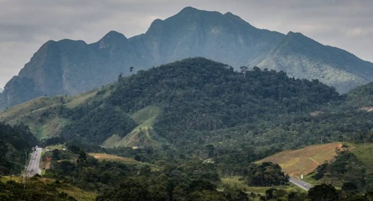 SOS Mata Atlântica mobiliza setor privado por conservação do bioma