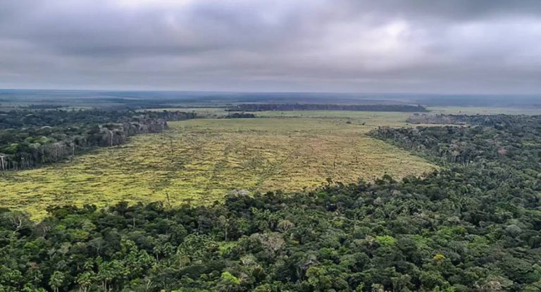 STF suspende em todo o país processos sobre a Moratória da Soja