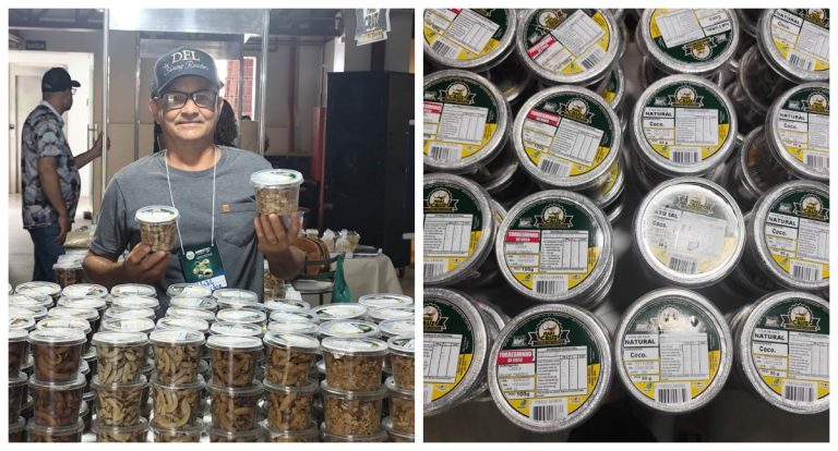 torresminho-de-coco-ganha-destaque-natural-na-agrotec-2025