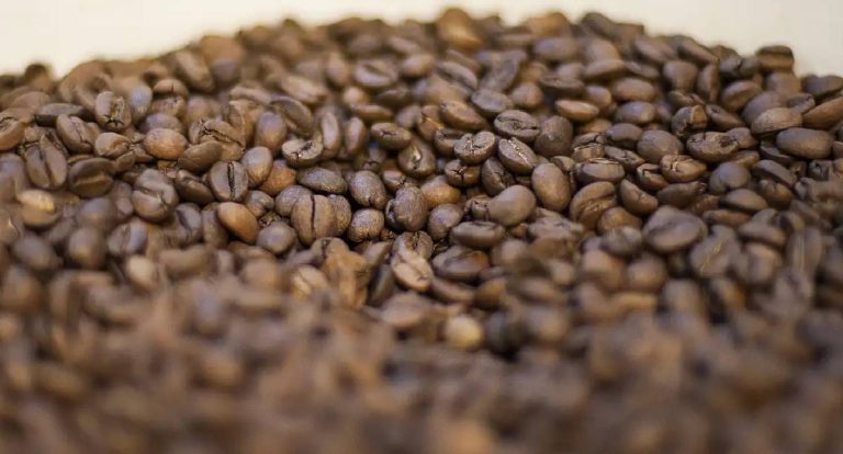 Trump Anuncia Redução de Tarifas de Importação de Café nos Estados Unidos