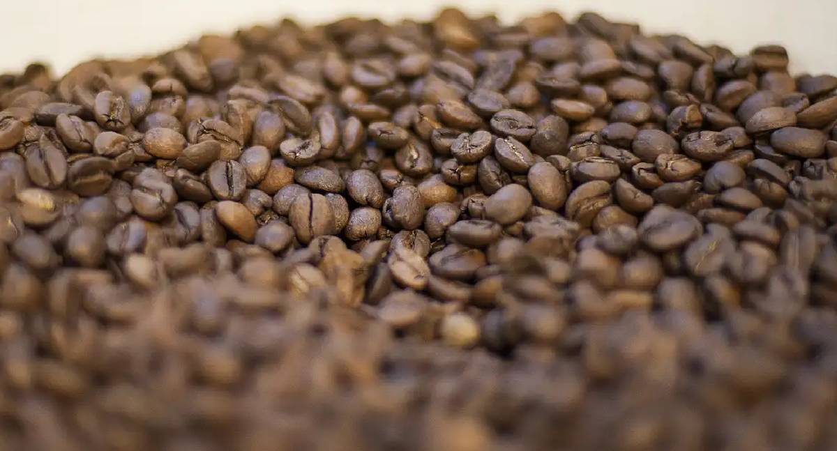 Trump Anuncia Redução de Tarifas de Importação de Café nos Estados Unidos