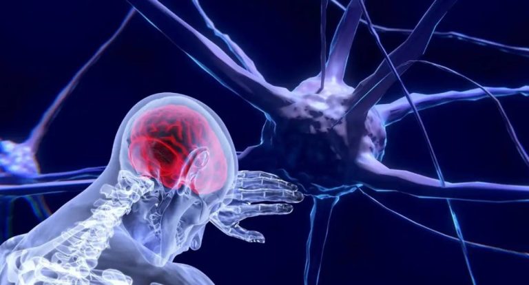 Unesco lança primeira recomendação global sobre ética da neurotecnologia