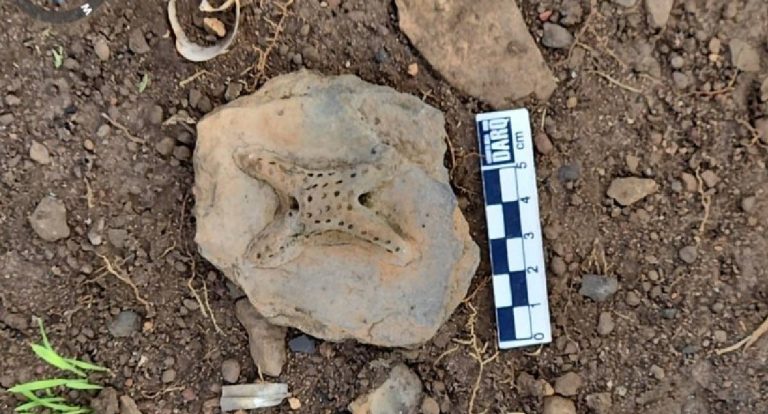 UNIR promove atividades no Quilombo Forte Príncipe da Beira 