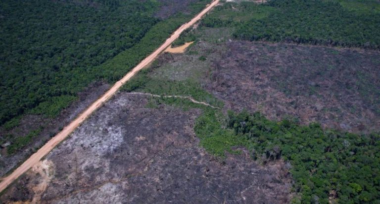 Vias ilegais perto da BR-319 avançam em áreas protegidas na Amazônia