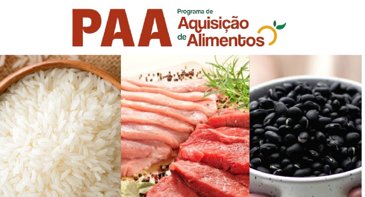 Conab realiza compra institucional de R$ 46 milhões para fortalecer agricultura familiar
