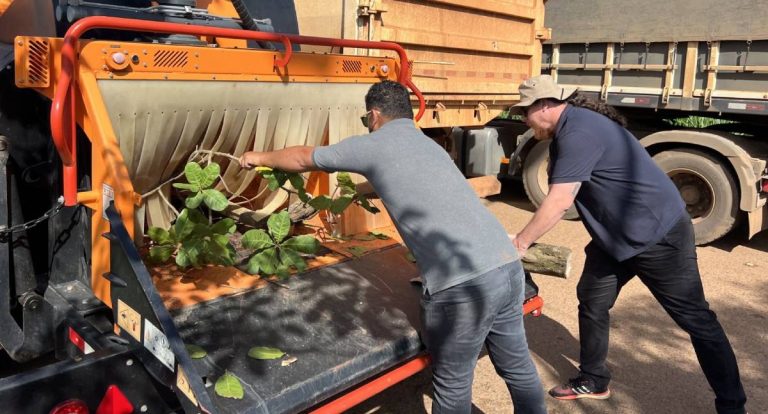 Ação integrada reaproveita 100% da poda de árvores e gera economia ao município