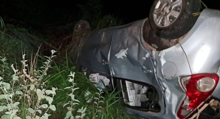 Acidente grave com animais e veículos deixa três feridos na BR-429