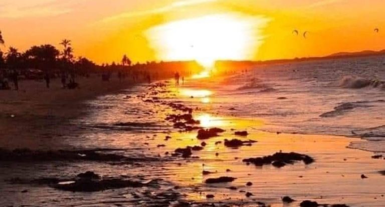 Além do costume: o perigo de se acostumar com o que nos fere