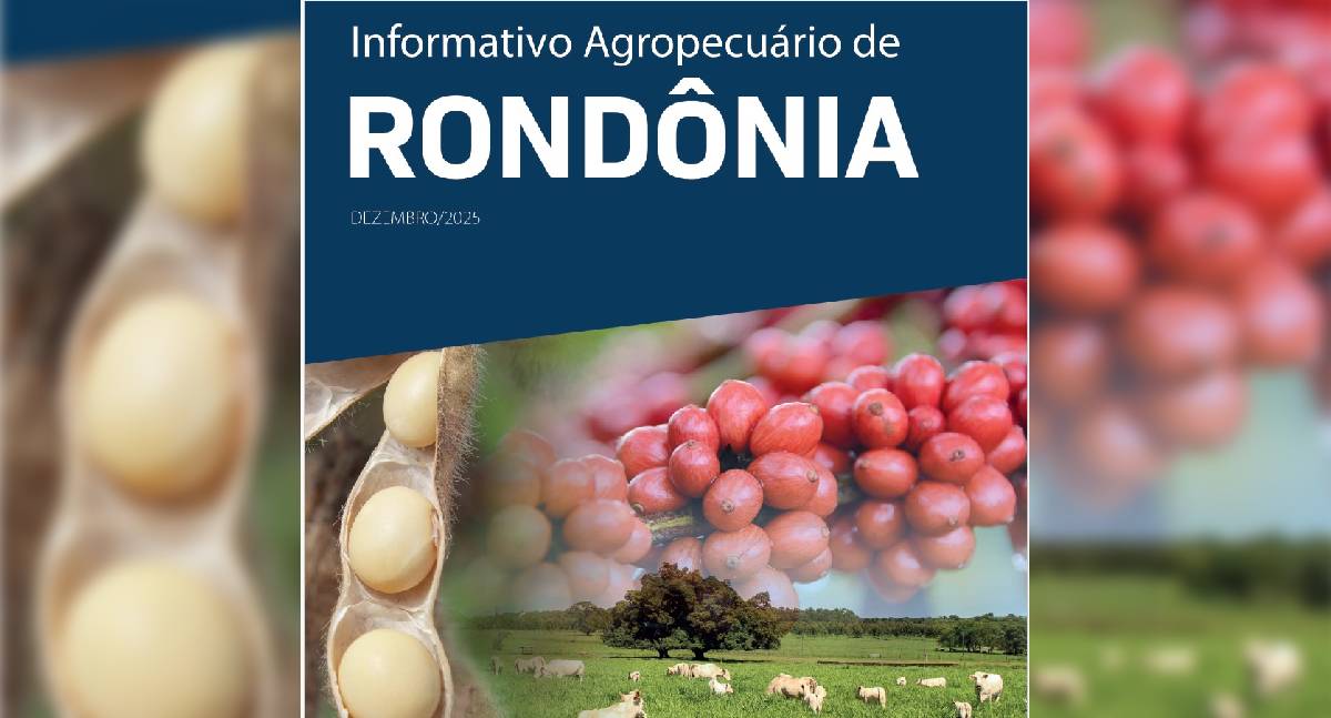 Área plantada com soja em Rondônia deve superar 700 mil hectares na safra 2025/2026