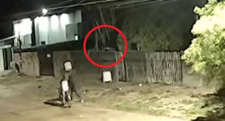 Câmera flagra dois casais de ladrões saqueando casa de caminhoneiro em RO