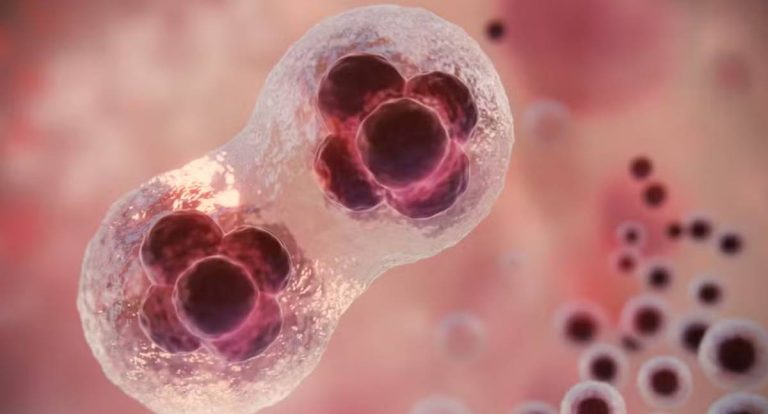 Cientistas descobrem ‘gatilho’ para caos genético que torna o câncer mais agressivo