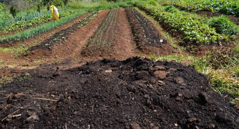 CMN amplia apoio financeiro para produtores atingidos pelo clima