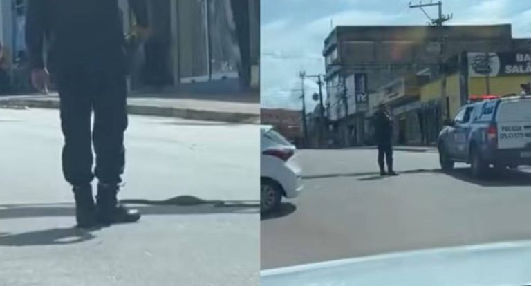 Cobra ‘para o trânsito’ ao tentar atravessar avenida em Porto Velho