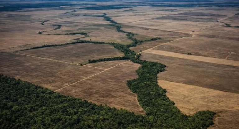 Coluna Espaço Aberto - Máquinas e Metas: a Contradição do Discurso Ambiental com a Prática Orçamentária na Amazônia
