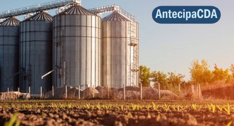 Conab lança sistema que reduz prazo para emissão do Código do Armazém para até 15 dias