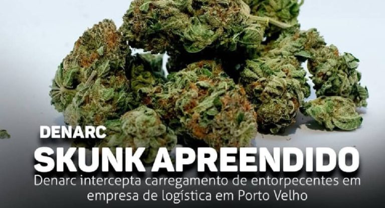Denarc intercepta carregamento de skunk em Porto Velho