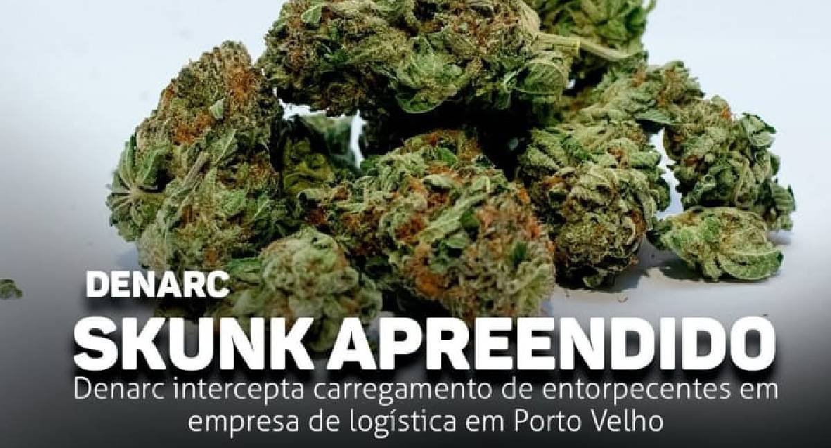 Denarc intercepta carregamento de skunk em Porto Velho