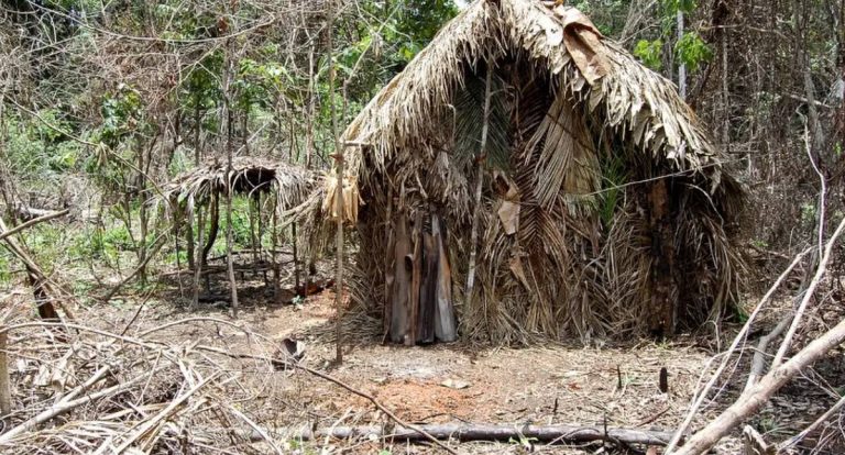DPU publica nota técnica sobre consulta prévia a povos indígenas isolados