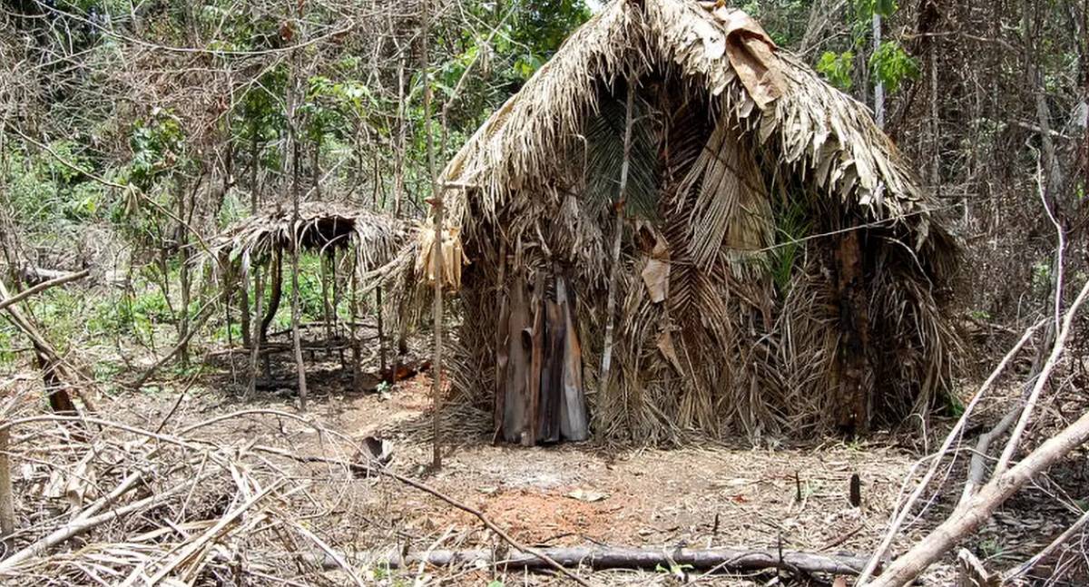 DPU publica nota técnica sobre consulta prévia a povos indígenas isolados