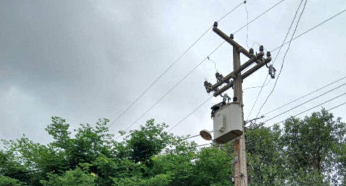 Dra. Taíssa Sousa cobra Energisa por manutenção elétrica urgente no distrito de Surpresa