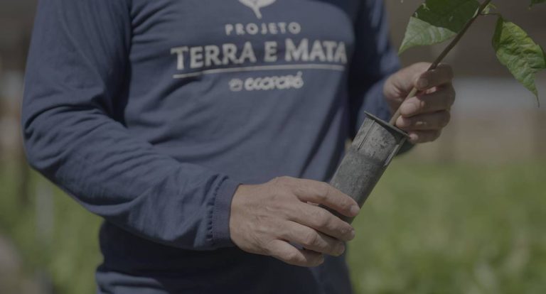Ecoporé lança série de vídeos sobre quatro anos do projeto Terra e Mata