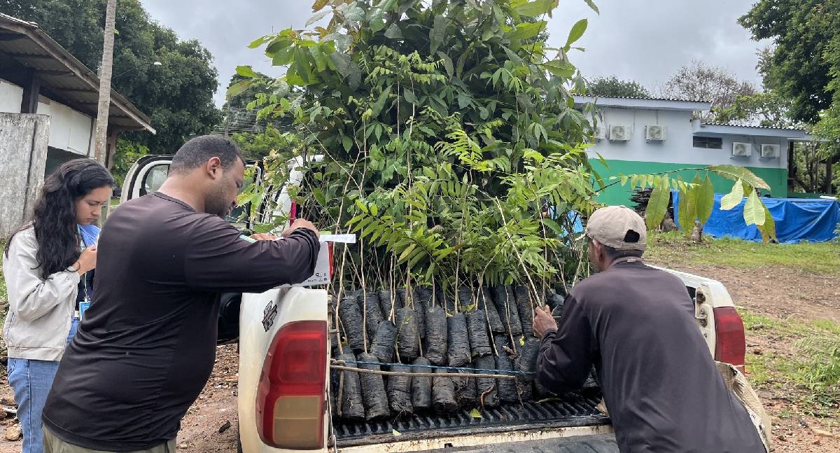 Energisa doa mudas nativas para ações ambientais da Sedam