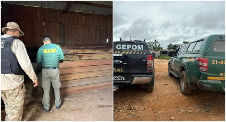 Forças de segurança realizam operação contra garimpo e extração ilegal de madeira em Rondônia