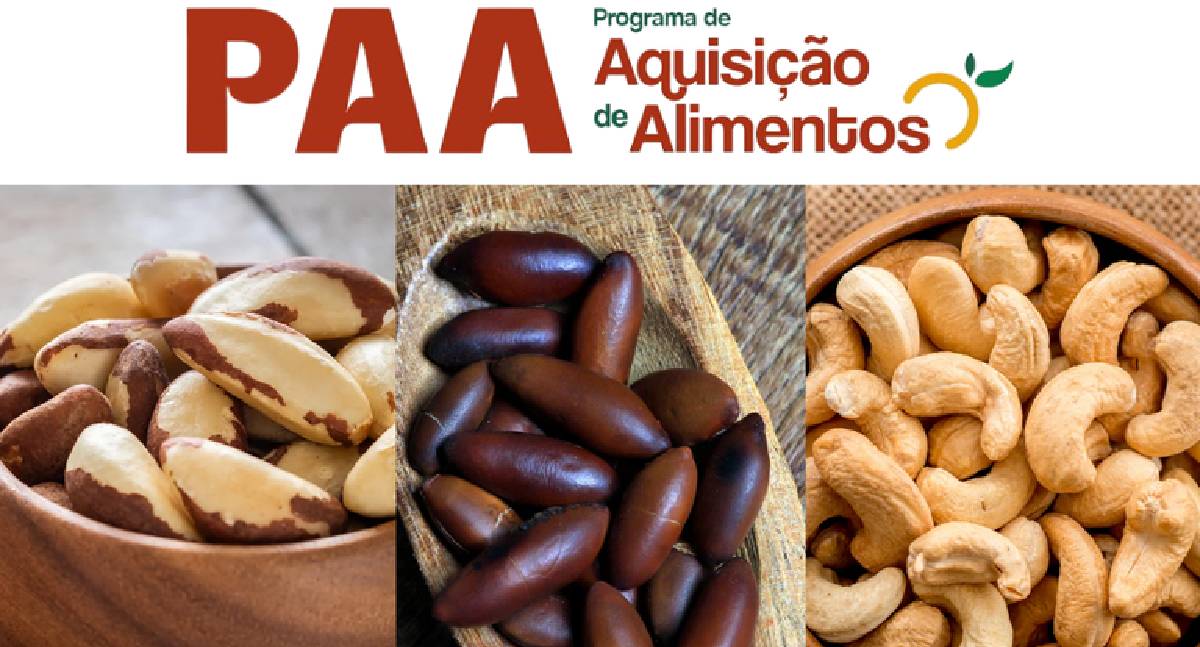 Governo libera R$ 30 milhões para aliviar impacto das tarifas sobre exportações