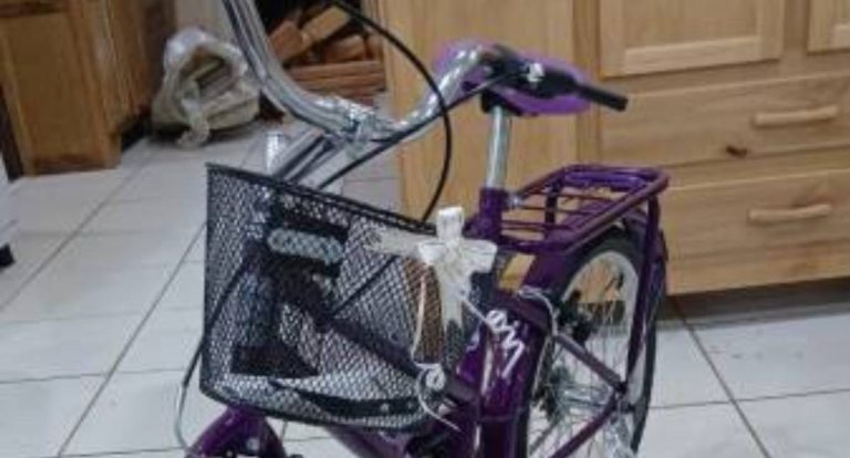 Jovem que furtou bicicleta é preso após vítima localizar boca de fumo