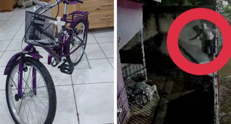 Ladrão derruba portão para furtar bicicleta infantil no Jardim Primavera
