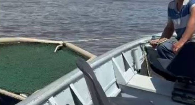 Lancha e barco furtados no Rio Guaporé são recuperados na Bolívia