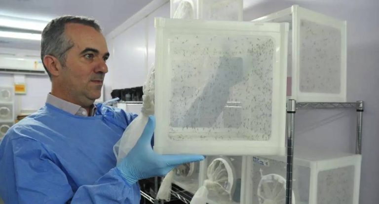 Luciano Moreira, criador do 'Aedes' com Wolbachia, é eleito pela revista Nature