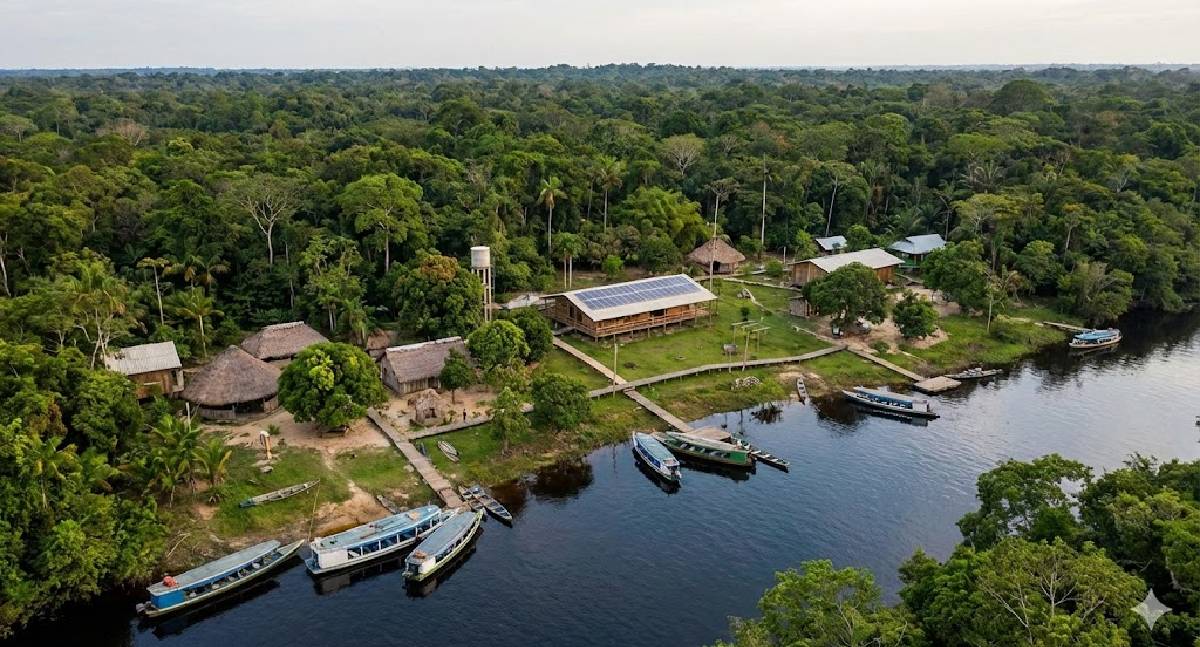 Novo programa da Conab e BNDES investe R$ 96,6 milhões na economia da floresta