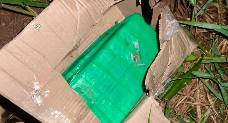 Operação Madeira Mamoré apreende 2 kg de skunk abandonados por suspeitos em Guajará-Mirim