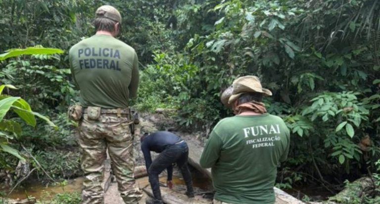 Operação Madeira Mamoré reúne PF, PMRO e IBAMA no combate a crimes ambientais em Rondônia