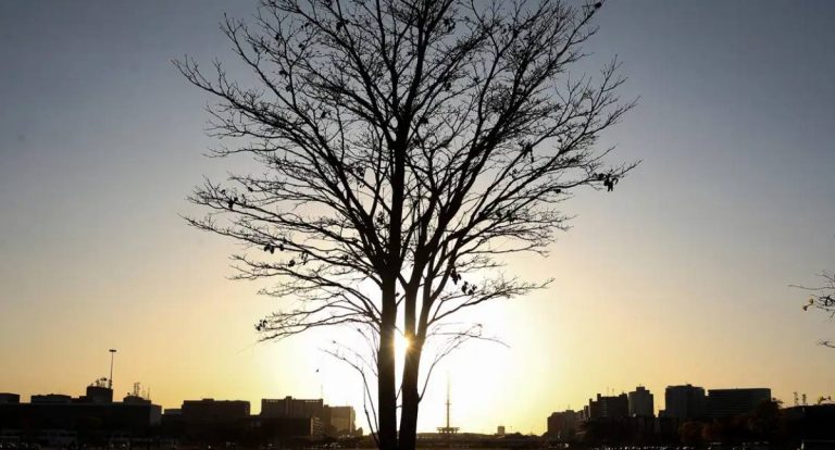 Organização Meteorológica Mundial prevê La Niña fraco