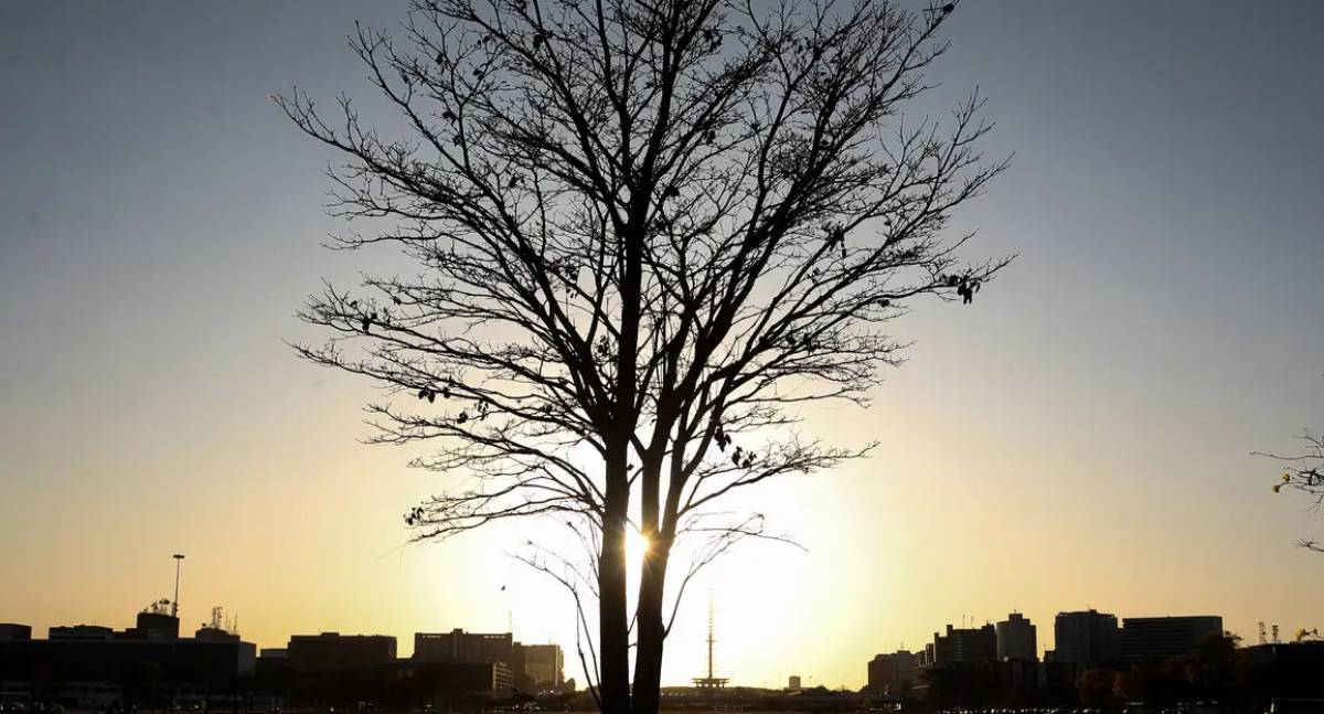 Organização Meteorológica Mundial prevê La Niña fraco