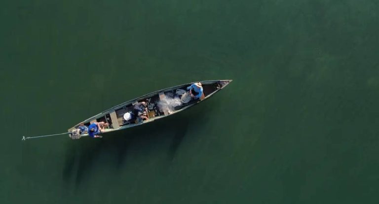 Pescadores têm até 31 de dezembro para comprovar atividade