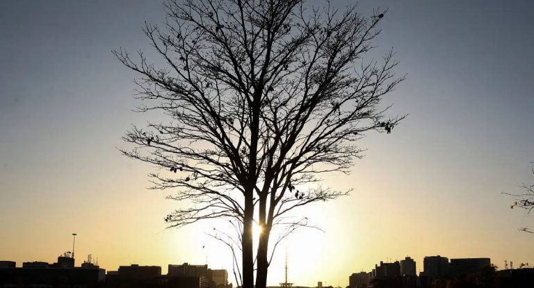 Pesquisadoras da Uerj integram grupo do IPCC da ONU
