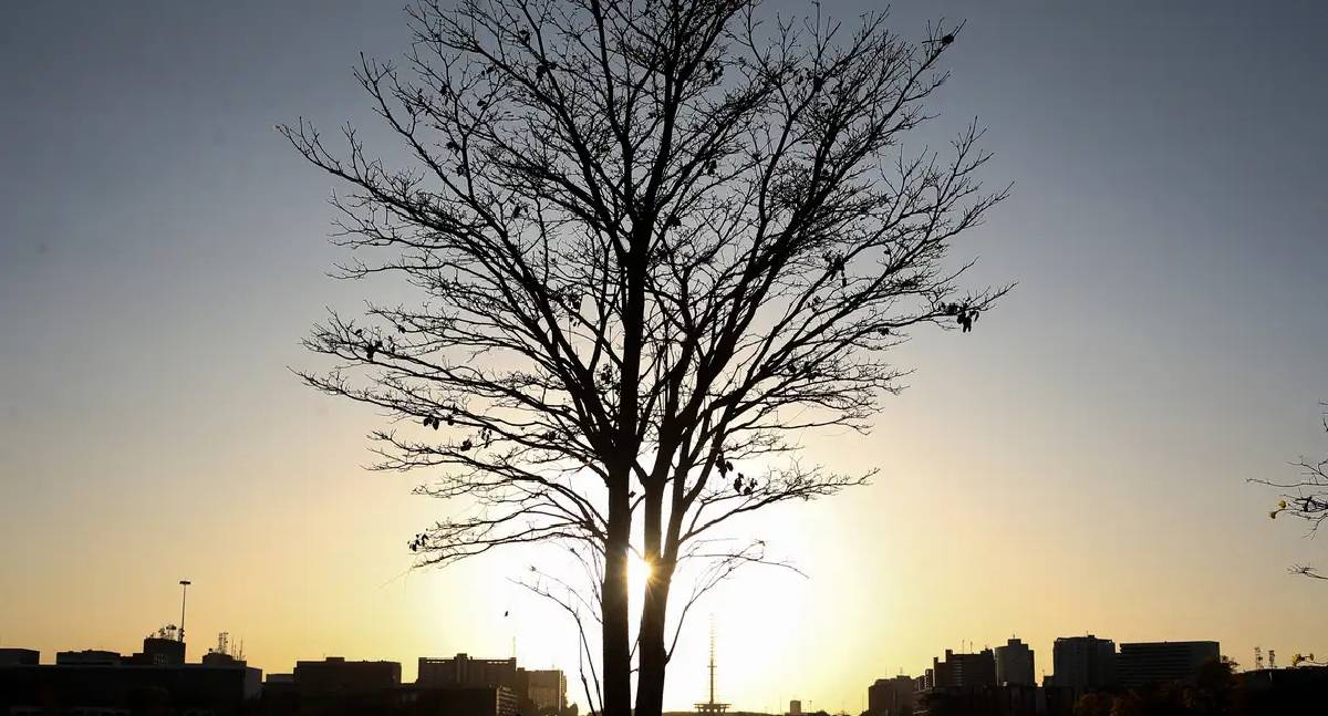 Pesquisadoras da Uerj integram grupo do IPCC da ONU