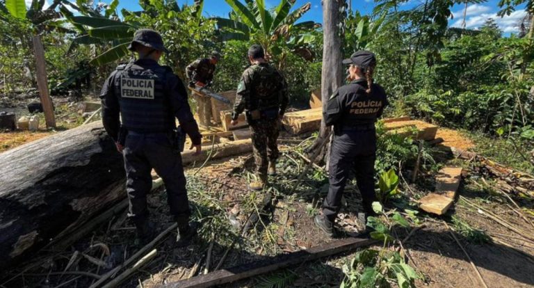 PF cumpre mandados em Rondônia contra grilagem e incêndio na Terra Indígena Igarapé Lage